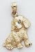 cocker_spaniel33cocker spaniel - Cocker Spaniel Charm C35