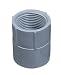 Tools & Hardware : LAMSON HOME PRODUCTS E942ER-CTN ADAPTER PVC FEMALE 3/4"