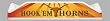 Texas Longhorns - Beach Pole Caddy