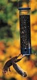 Bird Feeder, Whipper 21 inch 4 Port Squirrel Proof