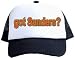 got Sanders? Mesh Hat