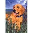 Golden Retriever Garden Flag by GR8 Dogs (Multi , 12&acirc; x 18&acirc; )