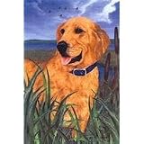 Golden Retriever House Flag by GR8 Dogs (Multi, 25a x 38a )