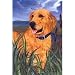 golden_retriever6golden retriever - Golden Retriever House Flag by GR8 Dogs Multi