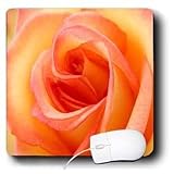 Flowers - Peach Rose - Mouse Pads Image