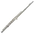 Suzuki FL-SC Flute
