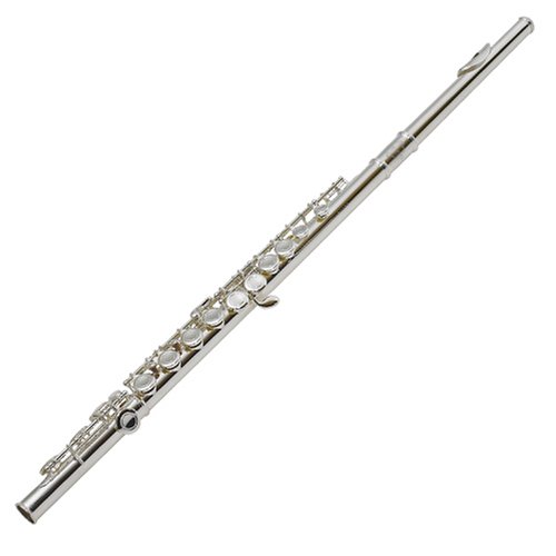 Childrens Toyshop  Musical Instruments : Suzuki FL-SC Flute