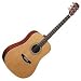 MD80 Acoustic Guitar