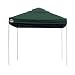 Sporting Goods : Quick Shade Commercial 100 Canopy - Forest Green