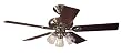 Hunter 20544 Summer Breeze Plus Three-Light 52-Inch Five-Blade Ceiling Fan, Bright with Clear Globes