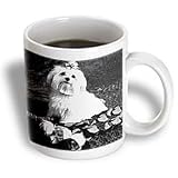 Dogs Maltese - Maltese - Mugs
