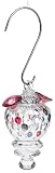 Bird Brain Lantern Hummingbird Feeder,  Clear Platinum
