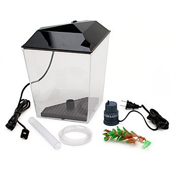 Aquatic Gardens 1 Gallon Corner Aquarium Kit