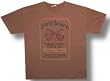 LYNYRD SKYNYRD - Jim Bean - Brown T-shirt