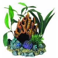 Coral Floral Cave with Plants by Blue Ribbon
