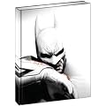 Batman: Arkham City Limited Edition
