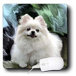 image link -  - B002I87HQW