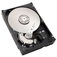 IBM 1TB 7.2K 6Gbps NL SAS 8.9cm 3.5in HS HDD Preisvergleich