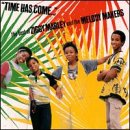 The Time Has Come: The Best of Ziggy Marley & the Melody Makers [CASSETTE]
