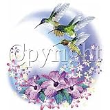 Hummingbird-Hibiscus Adult T-Shirt
