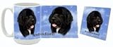 Newfoundland Mug and Coaster Combo