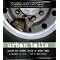 Advanced Cat Care Resources and Inspiration for Cat Rescuers