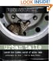 Urban Tails: Inside the Hidden World of Alley Cats