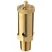 Kingston 100SS Series Brass Safety Valve, 75 psi Set Pressure, 1/4" NPT Male