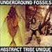 Underground Fossils