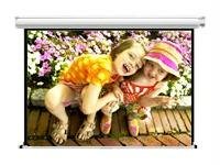100IN Diagonal Accuscreens HDtv Manual Wall Ceiling 49X87IN