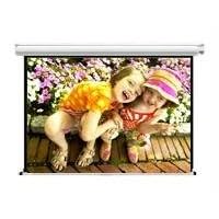 Buy 100IN Diagonal Accuscreens HDtv Manual Wall Ceiling 49X87IN by Draper