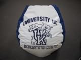 NCAA Kentucky Wildcats Collegiate Bean Bag Chair