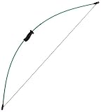Bear Archery Wizard Bow
