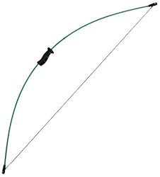 Bear Archery Wizard Bow