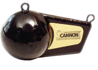 Cannon 6 pound Flash weight