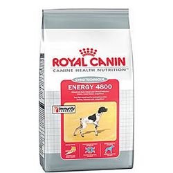 Royal Canin (4800) Energy Dog Food