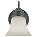 Sea Gull Lighting 44850-782