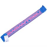 FLAGS TOWNサガン鳥栖ミニニットマフラー