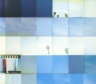 蒼の世界 (初回限定盤)
