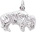 Buffalo Charm by Rembrandt Charms