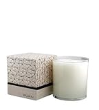 Fresh Vanilla Cream Candle by BURN FRESH