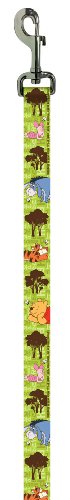 Disney 1DLSH-5 Winnie the Pooh Dog Leash