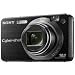 Sony - Cyber-shot DSC-W170 - black