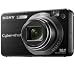Sony - Cyber-shot DSC-W170 - black