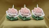 Pasadena Pink Rose Shower Curtain Hooks