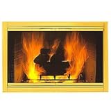 Solid Fireview Stock Fireplace Door