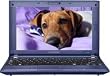 Samsung N120-13GBL 10.1-Inch Blue Netbook - Up to 8.3 Hours of Battery Life