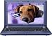 Samsung N120-13GBL 10.1-Inch Blue Netbook - Up to 8.3 Hours of Battery Life