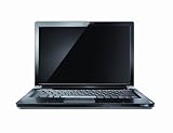 Lenovo IdeaPad Y430-7342U 14.1-Inch Laptop - Black
