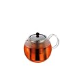 Bodum 1801-16US Assam 17-Ounce Glass Tea Press with Stainles